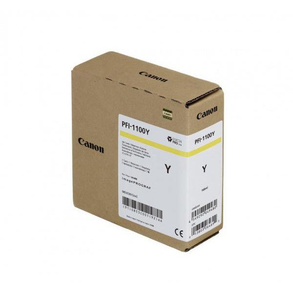 Patron