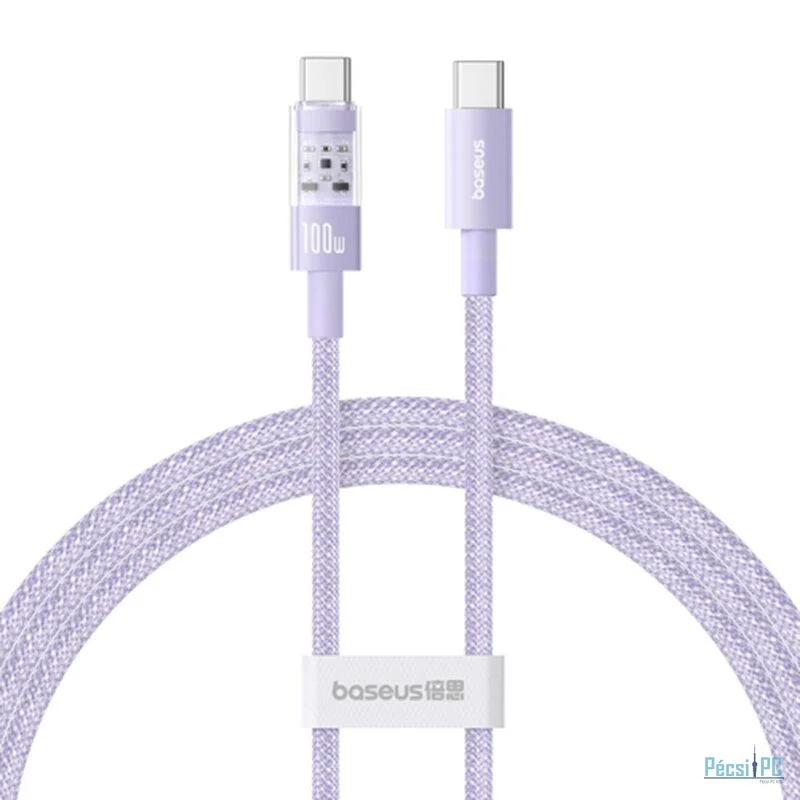 Baseus Gem USB C to USB C 100W fast charging cable 2m Purple