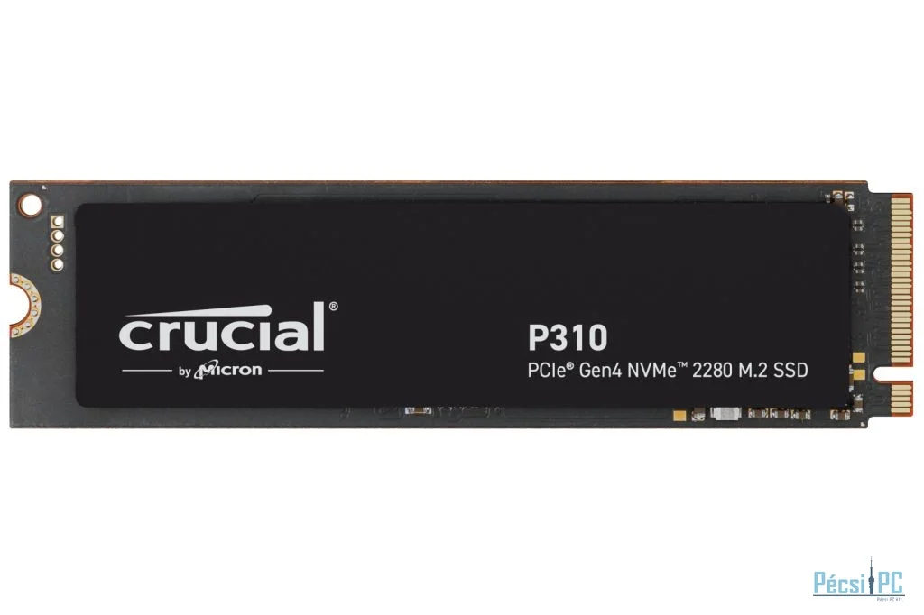 Winchester SSD