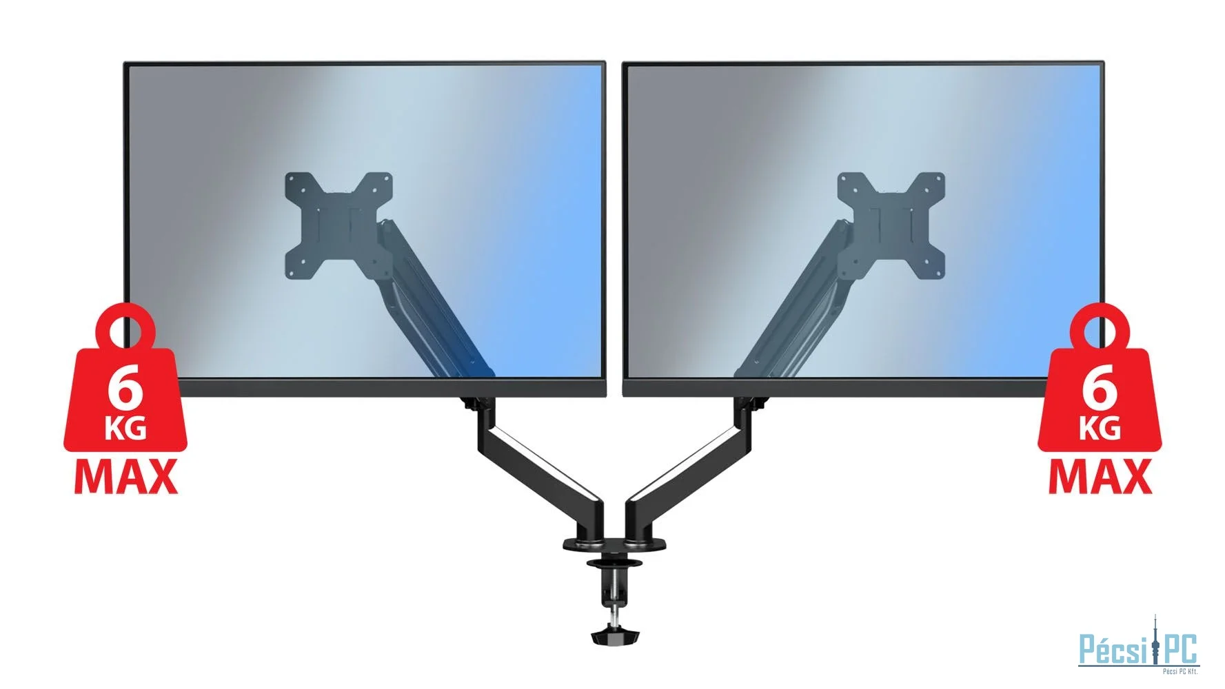 Esperanza ERW020 Mache desk mount for two monitors 17