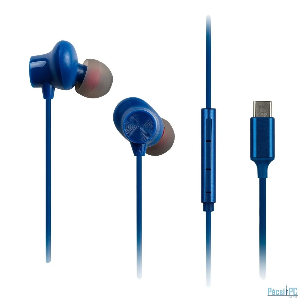 Panasonic RP-TCM225DEA Headset Blue