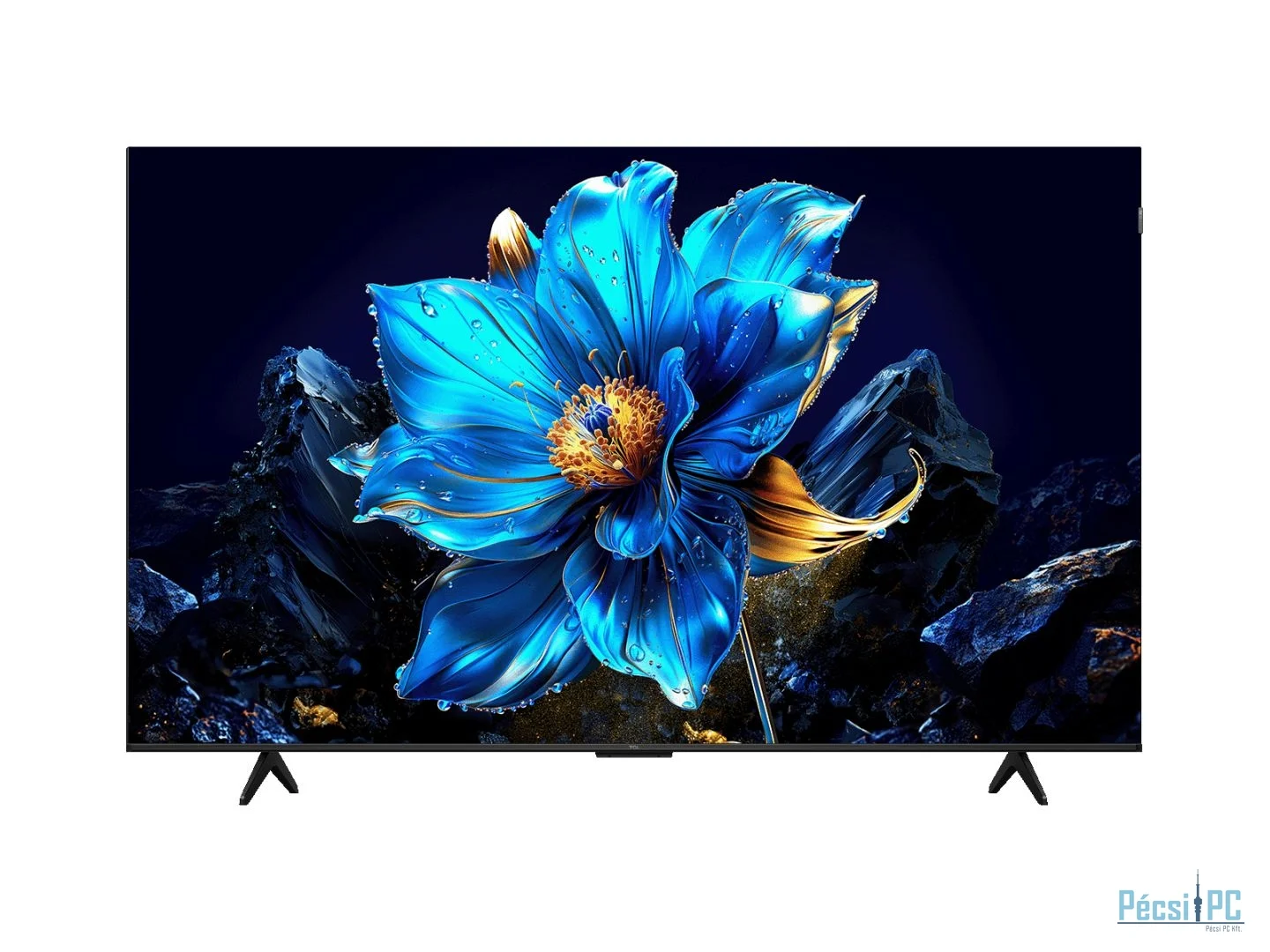 Multimédia, szórakozás, otthon