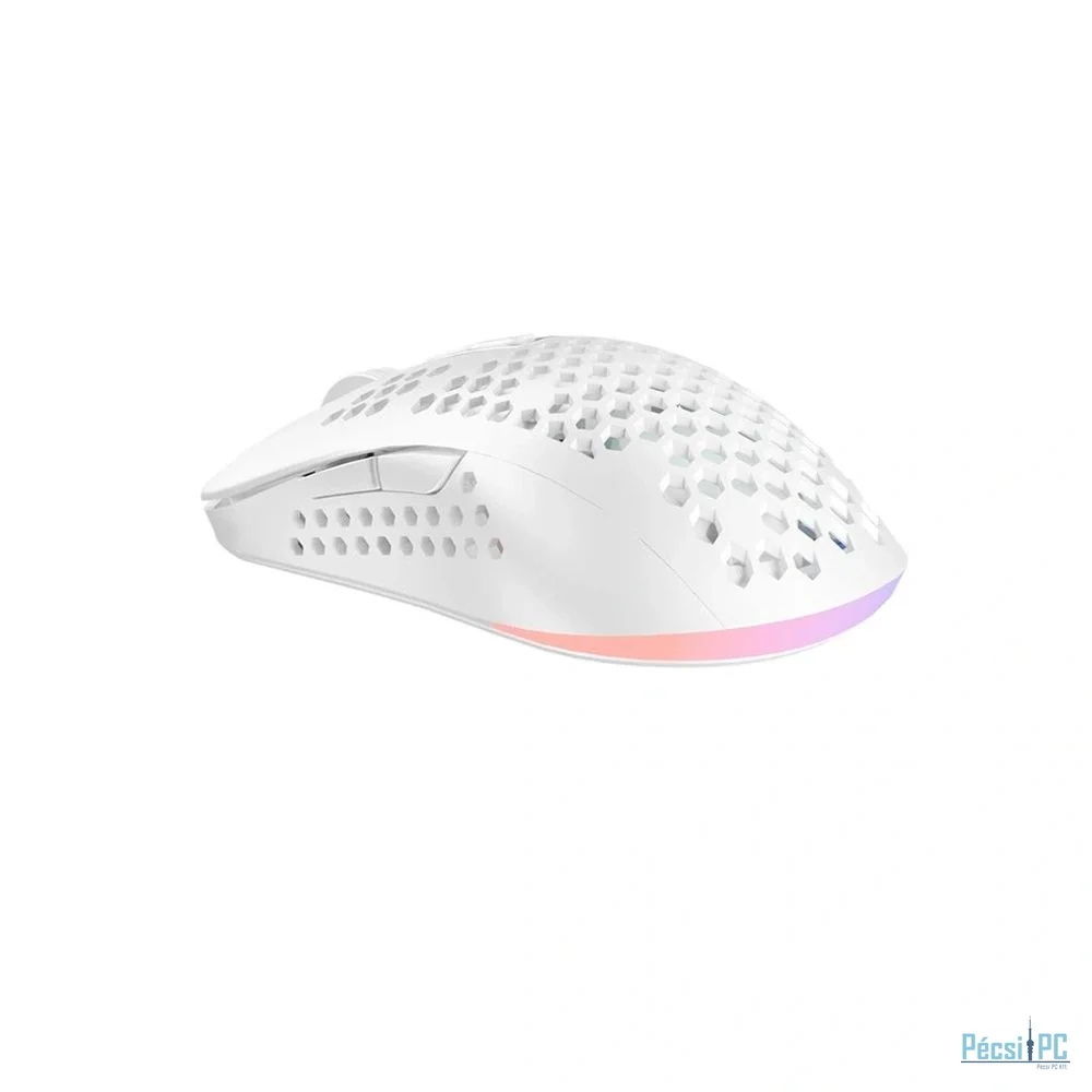 Avax LW01 PAW3327 RGB Gamer Mouse White