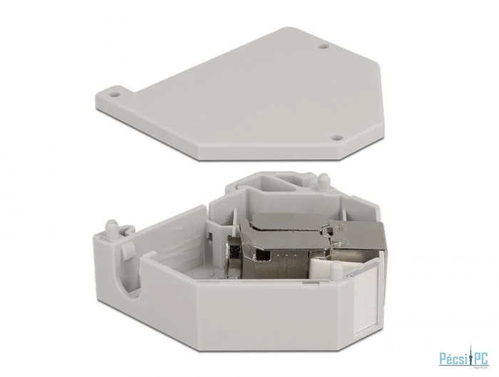 DeLock DIN sín adapter Keystone modullal RJ45 anya Cat.6A LSA