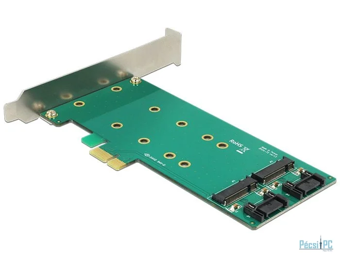 DeLock PCI Express Card > 2x internal M.2 Key B 110 mm - Low Profile Form Factor