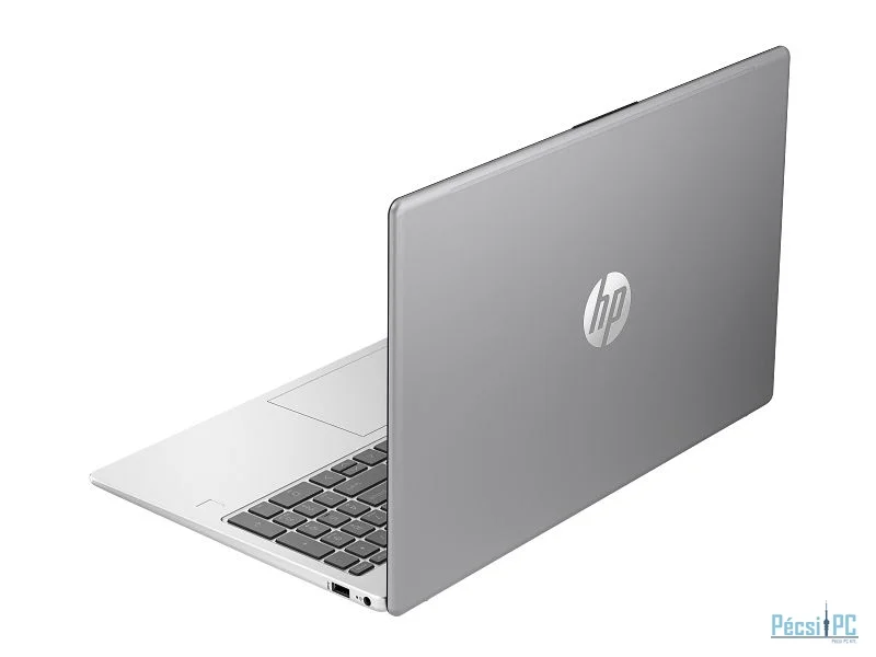 HP 250 G10 Silver