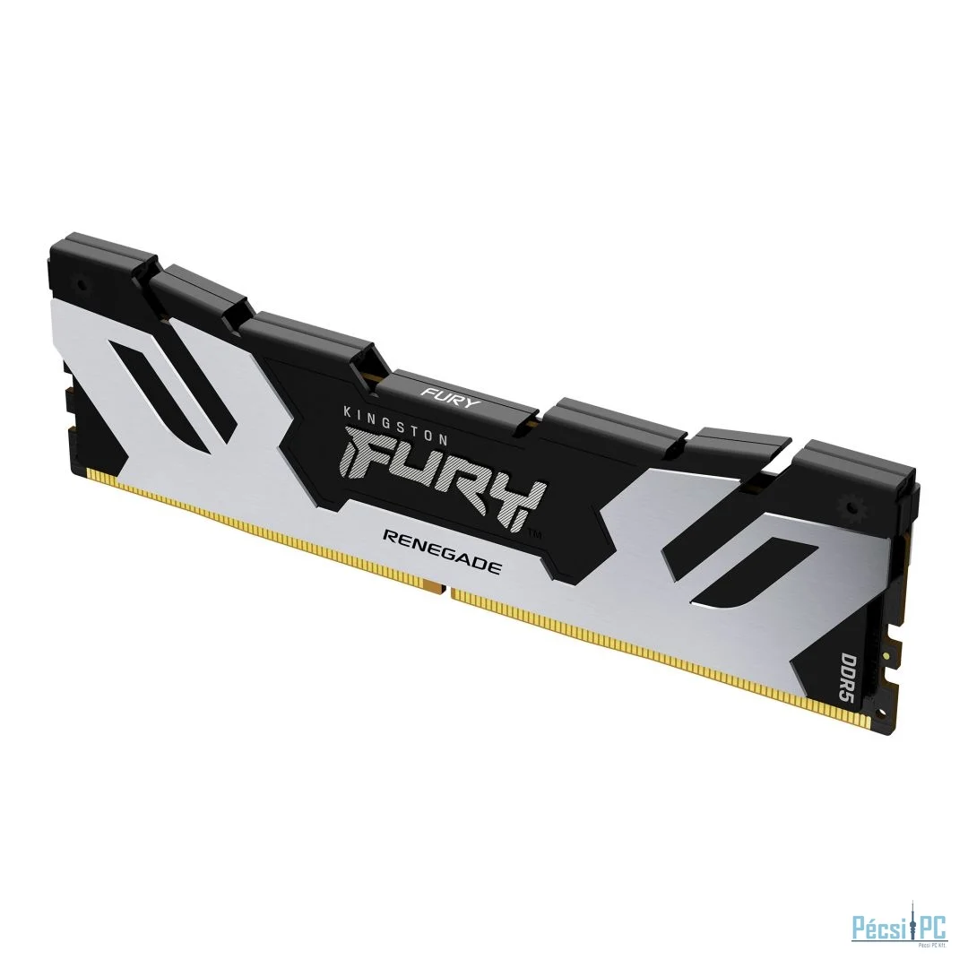 Kingston 48GB DDR5 6400MHz Fury Renegade Black/Silver