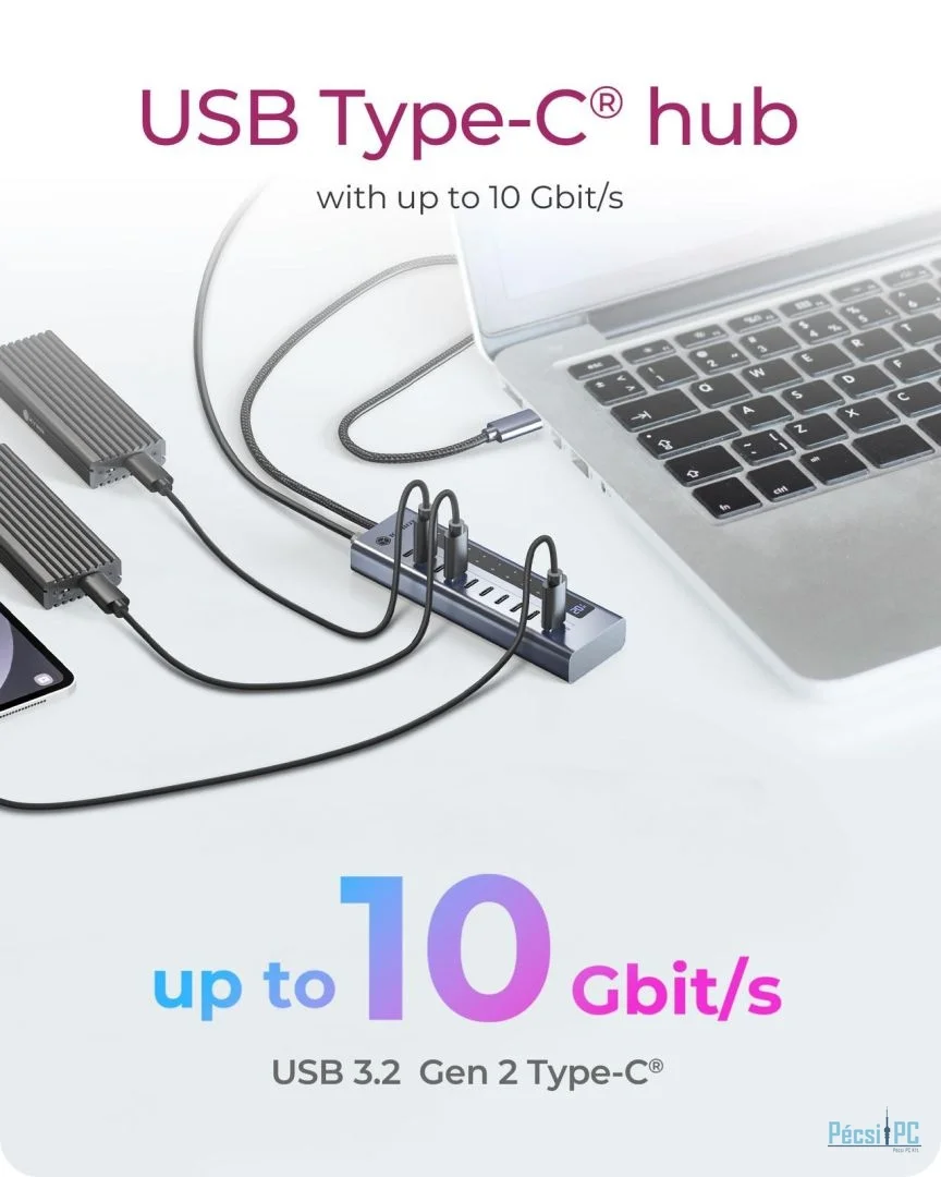 Raidsonic IcyBox IB-HUB1450-C31 10 ports USB Type-C Gen 2 Hub