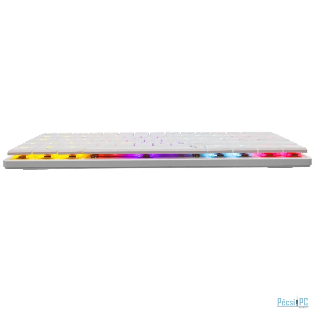 White Shark Nagamaki RGB Gaming keyboard Black US