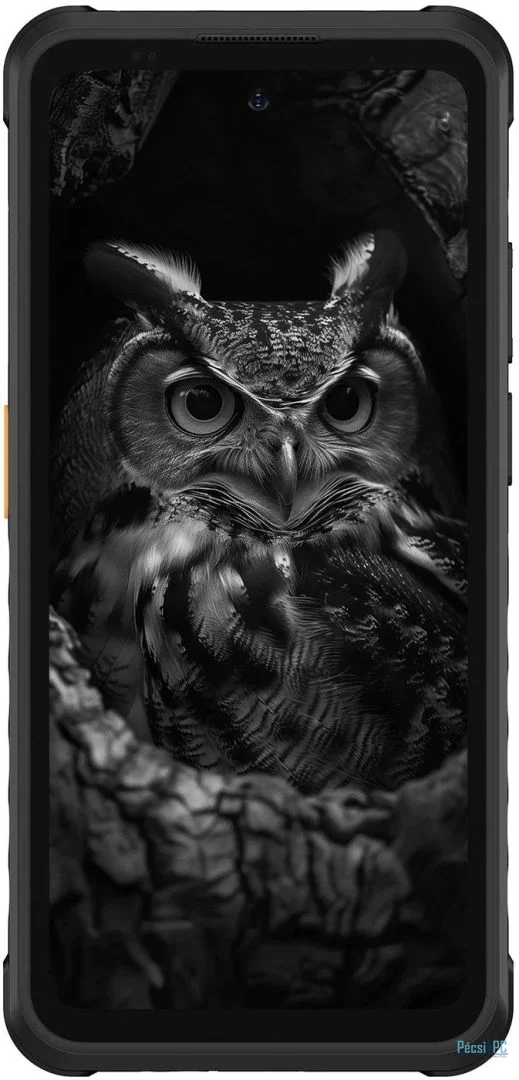 Ulefone Armor X31 Pro 256GB DualSIM Classic Black