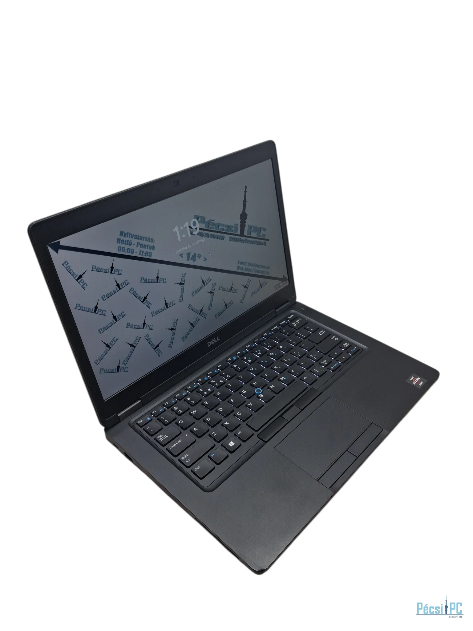 Dell Latitude 5495 - US