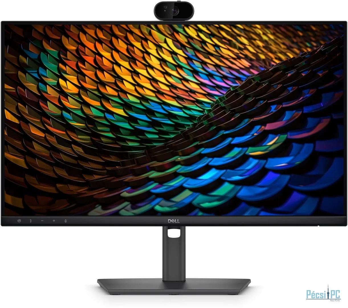 Dell 24