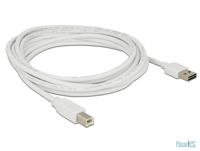 DeLock EASY-USB 2.0 Type-A male > USB 2.0 Type-B male 3m white