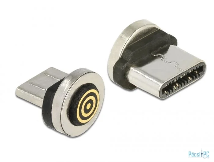 DeLock Magnetic USB Type-C male adapter