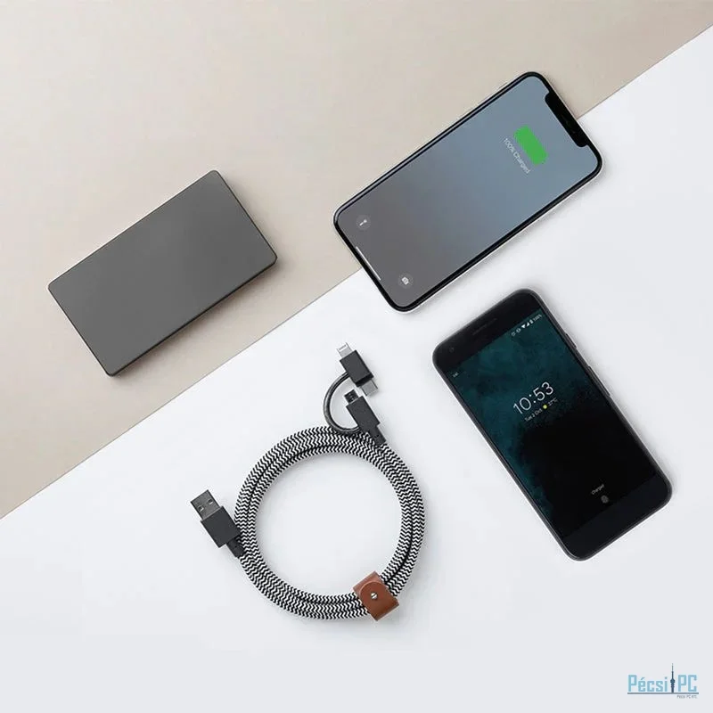 Native Union Belt Cable Universal USB-A to USB-C, Micro USB, Lightning 2m Zebra