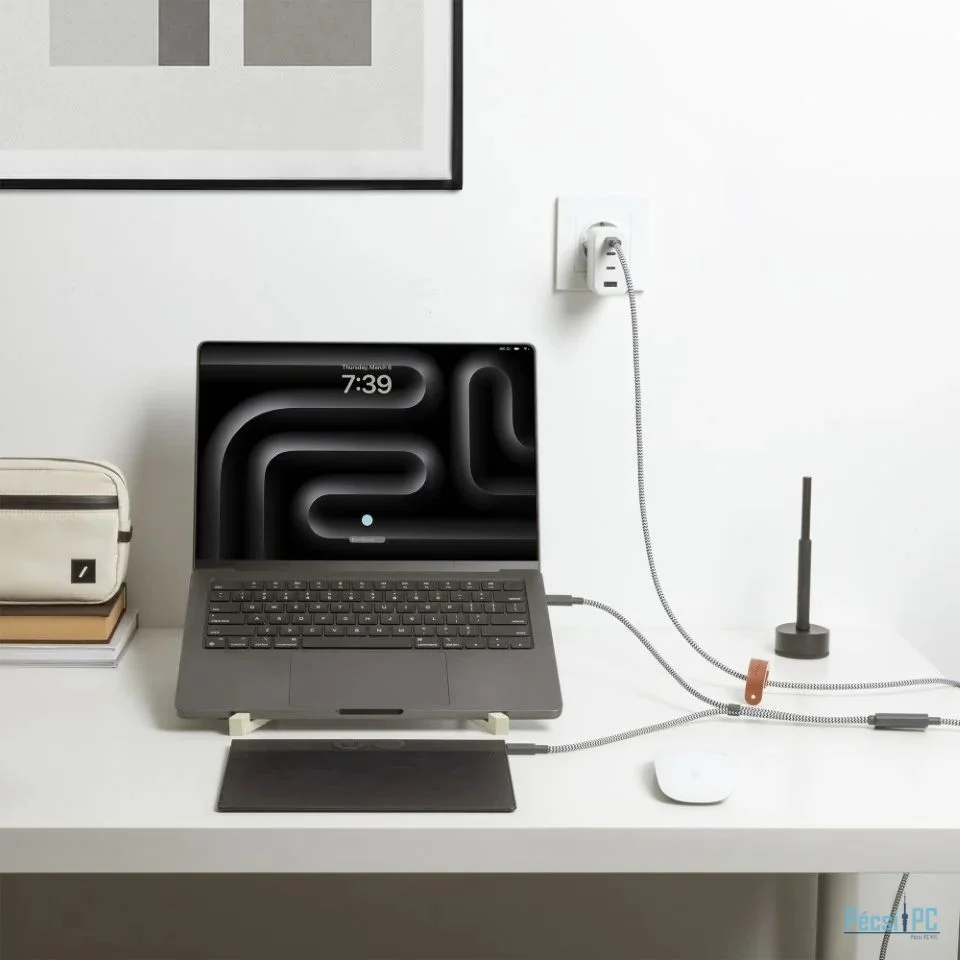 Native Union Belt USB-C to USB-C cable 2m Zebra