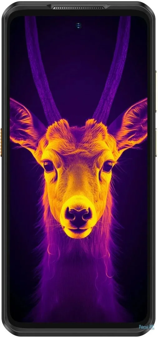 Ulefone Armor 25T Pro 256GB DualSIM Frost Black