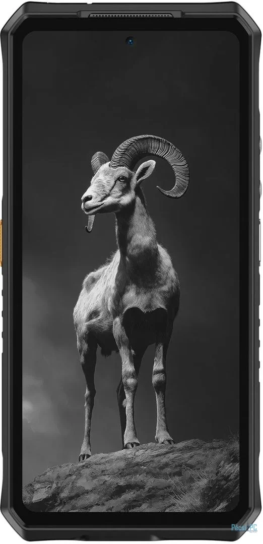 Ulefone Armor 28 Pro 512GB DualSIM Epic Black