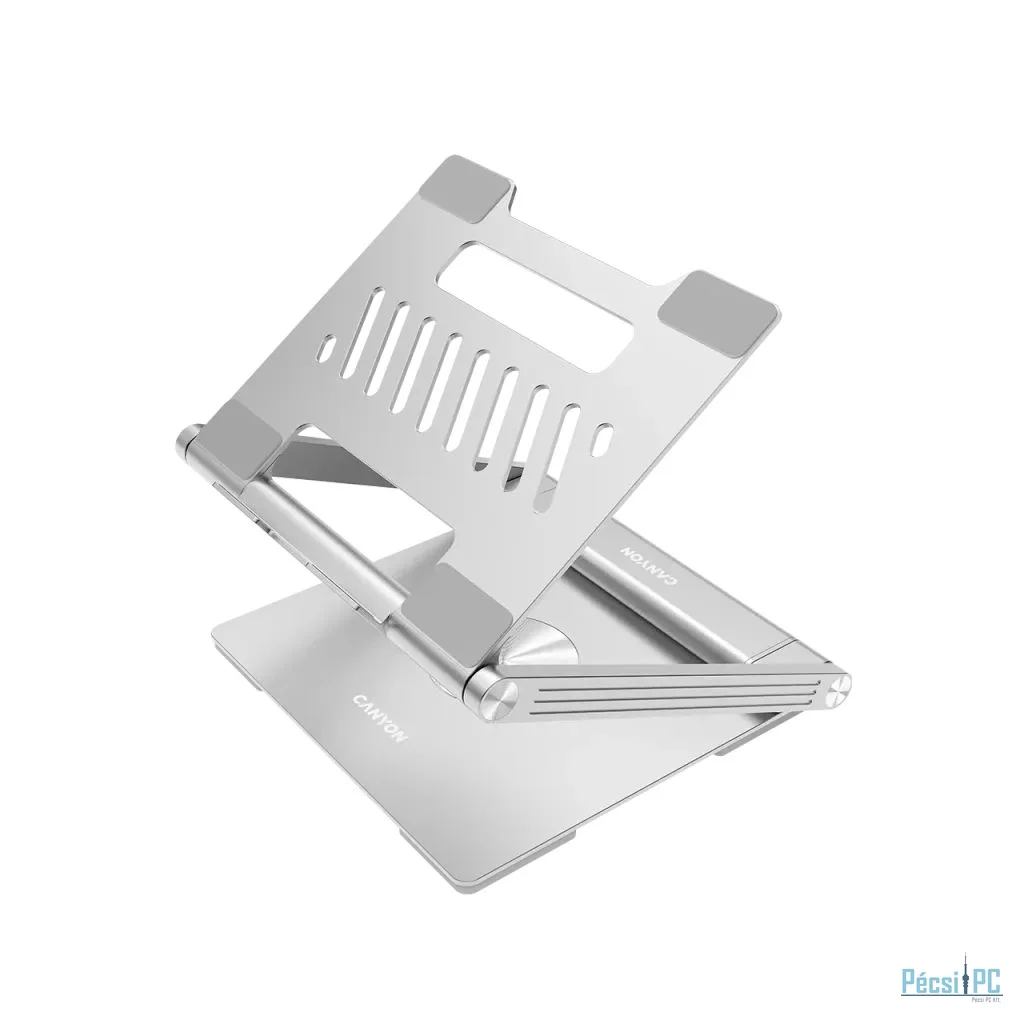 Canyon CNS-SDS2 Latop Stand with Hub Silver