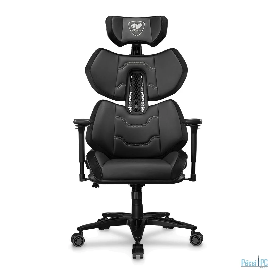 Cougar Terminat Elite Gold Gaming Chair Black