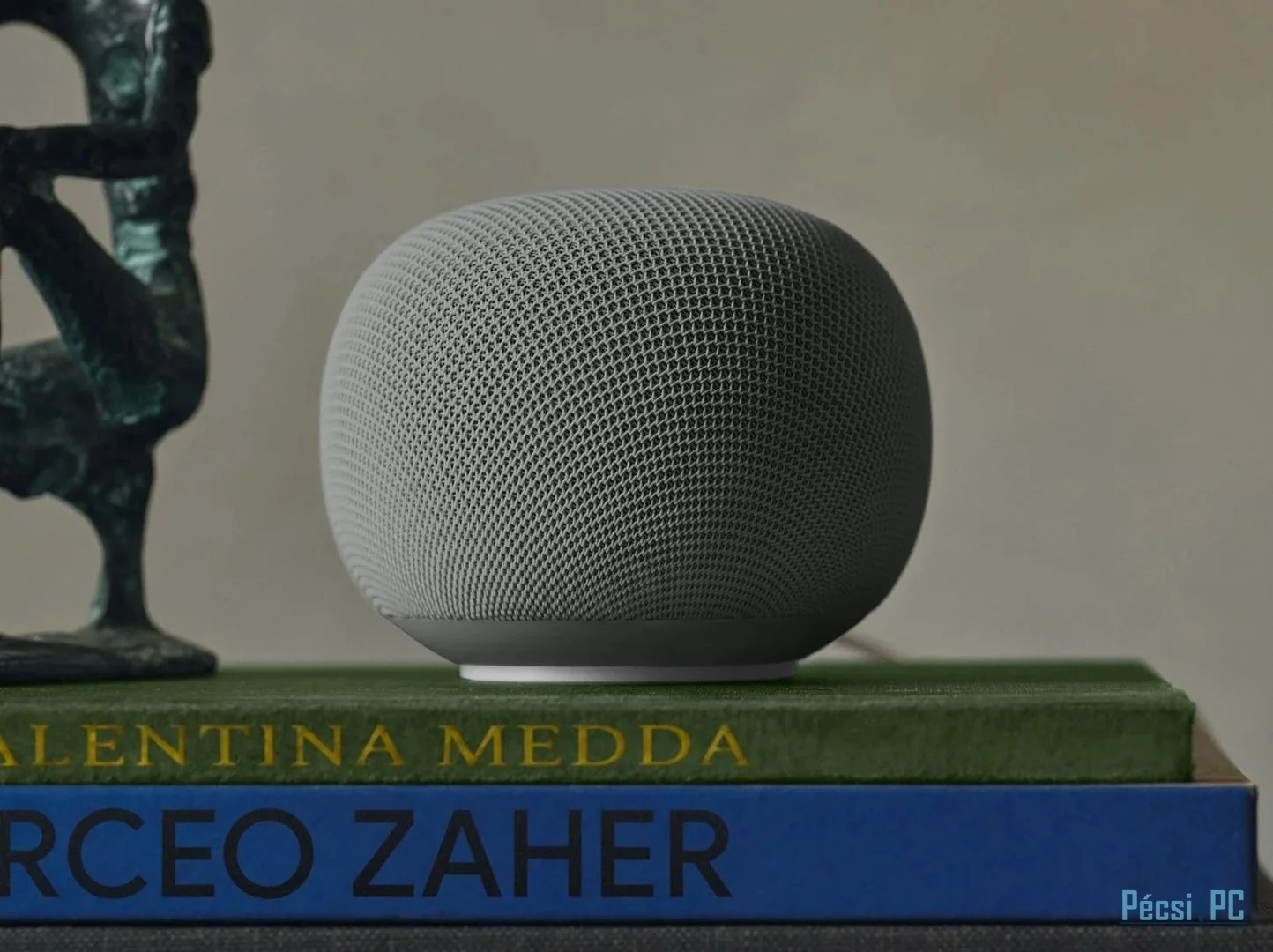 Google Home Grey