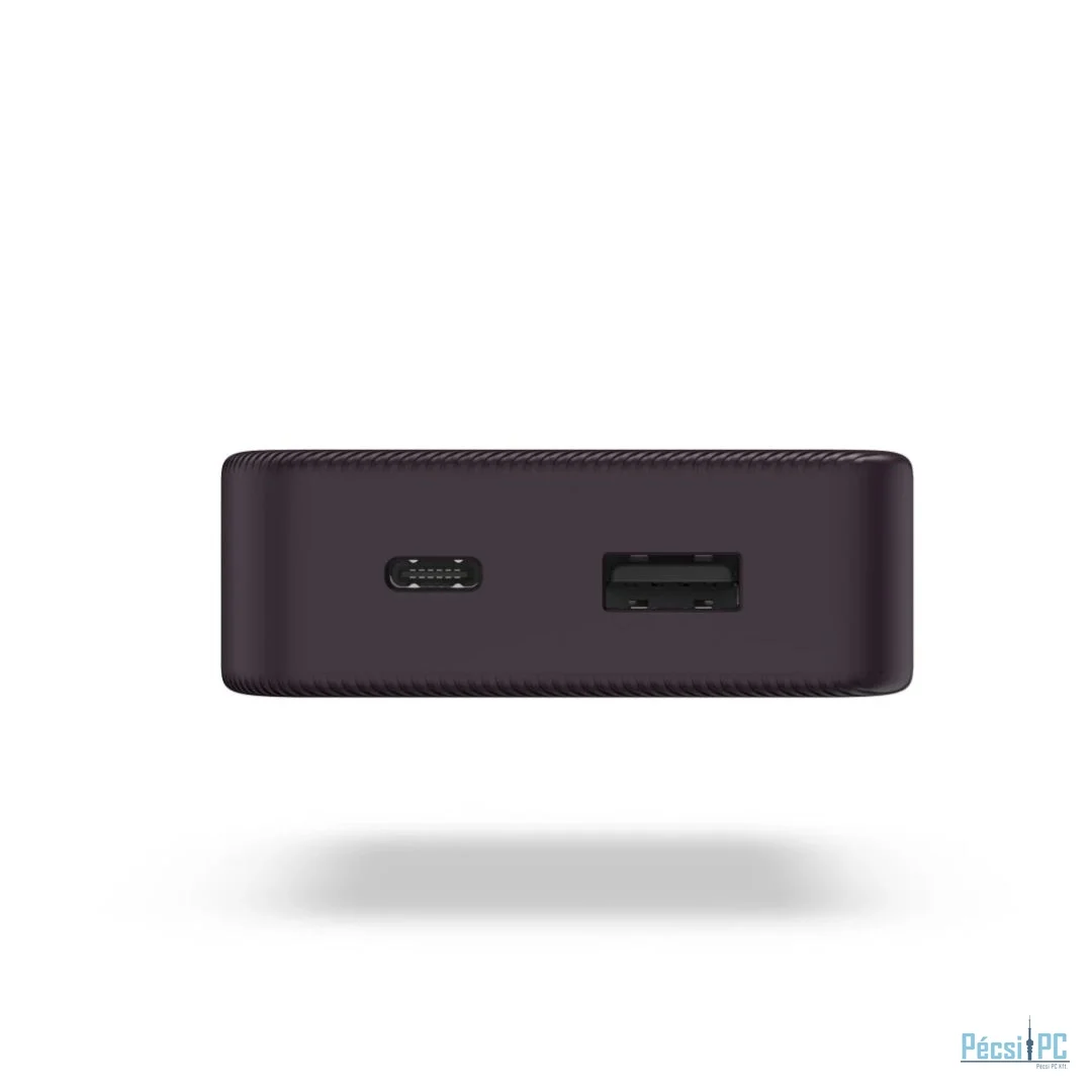 Hama Colour 10 10000mAh PowerBank Plum
