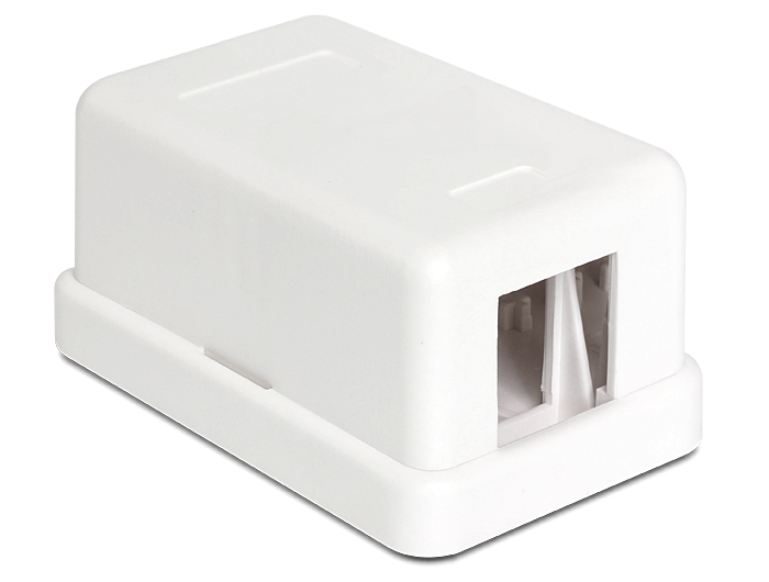 DeLock Keystone Surface Mounted Box 1 Port