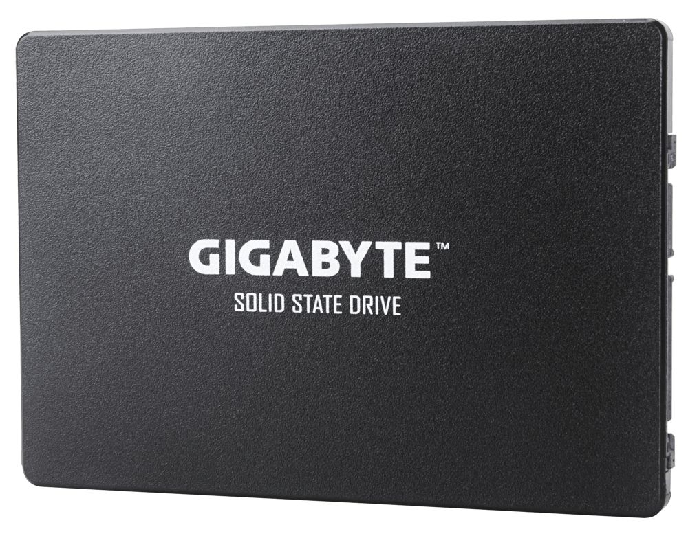 Gigabyte 256GB 2,5" SATA3 GP-GSTFS31256GTND