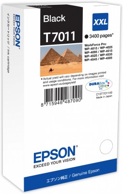 Epson T7011 XXL Black