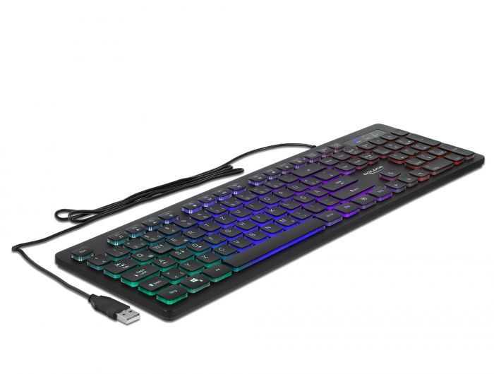 DeLock RGB Illumination USB Keyboard Black GERMAN