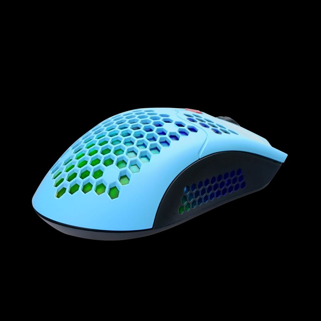 Dragon War Phoenix Honeycomb Gamer mouse Blue