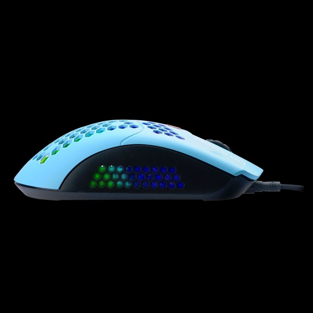 Dragon War Phoenix Honeycomb Gamer mouse Blue