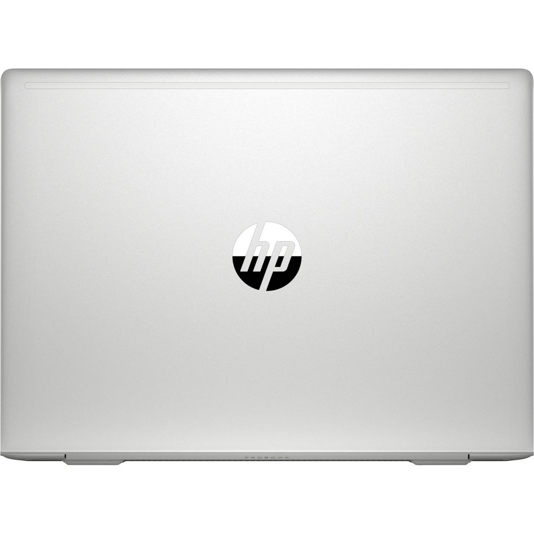 HP ProBook 455 G8 Silver