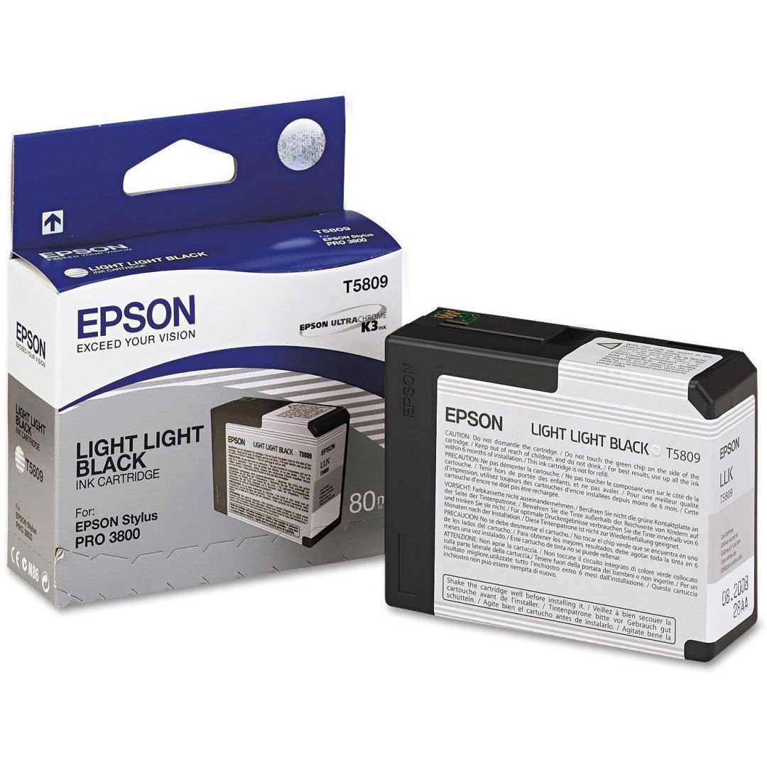 Epson T5809 Light Black