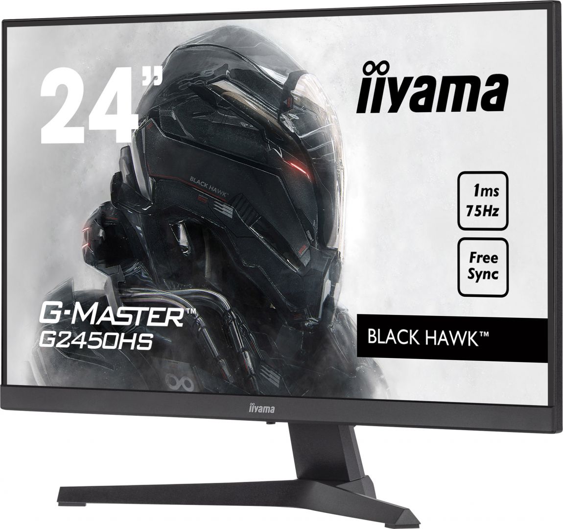 iiyama 23,8" G-Master G2450HS-B1 LED