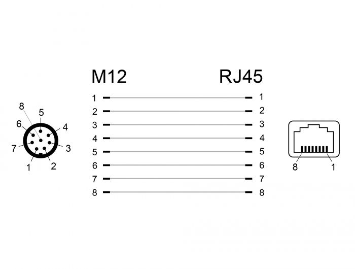 DeLock Network Adapter M12 8 pin A-coded male to RJ45 jack