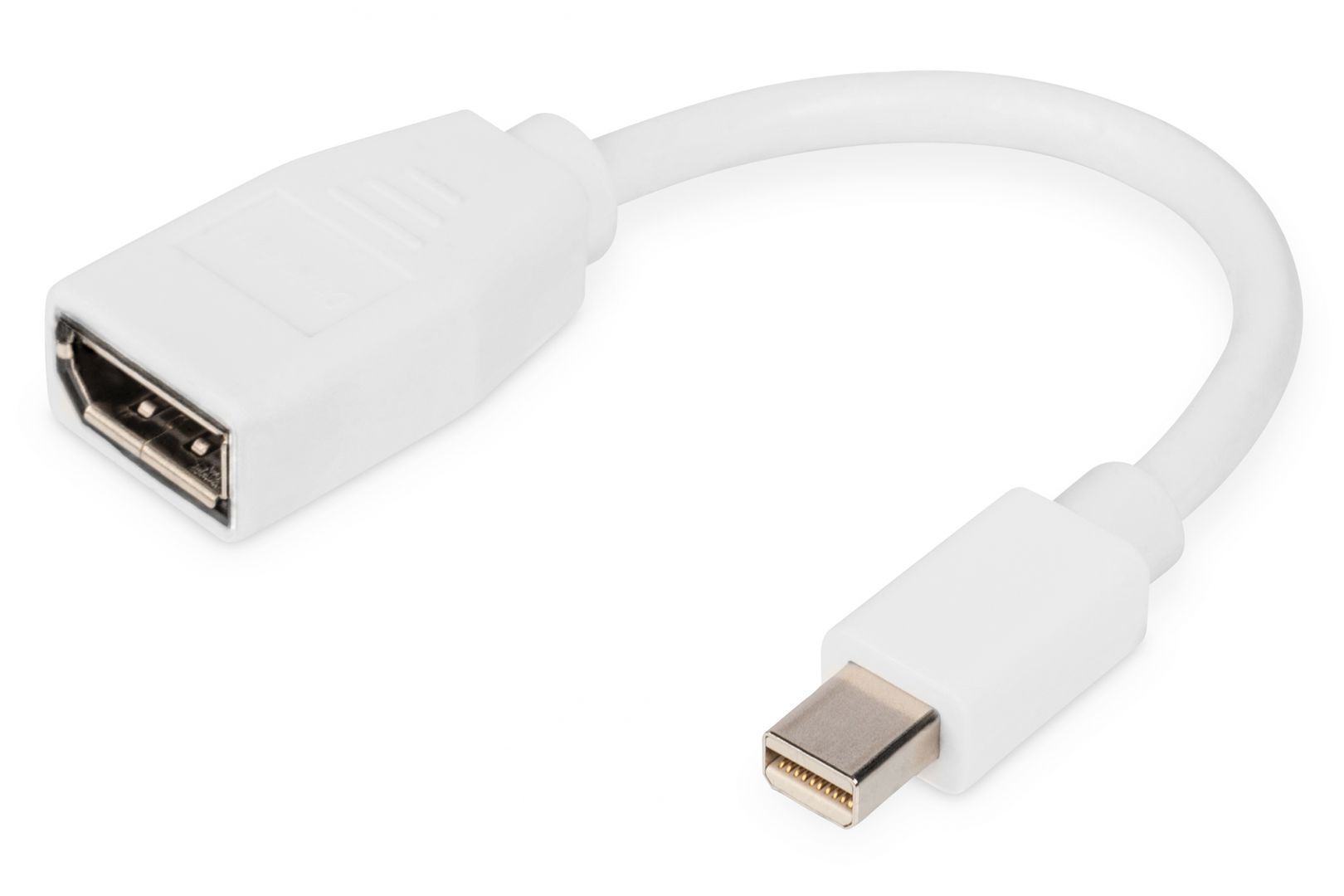 Digitus DisplayPort adapter cable mini DP - DP 0,15m White