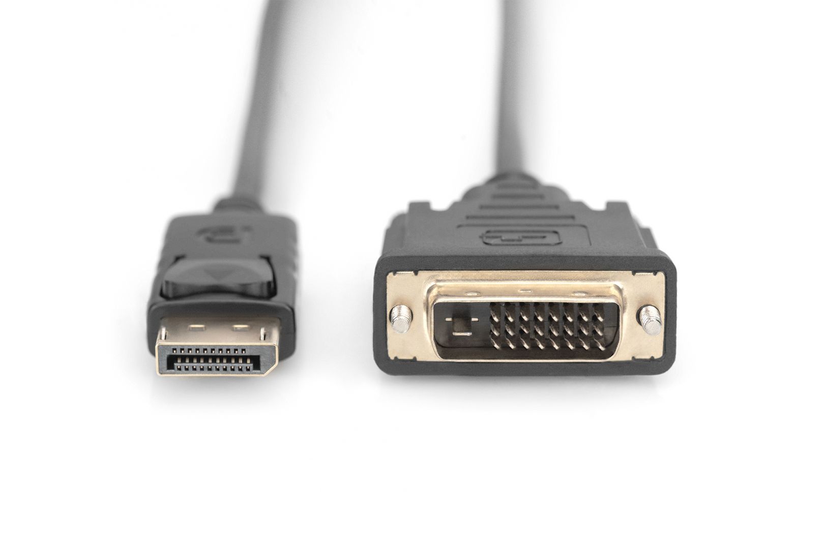 Digitus DisplayPort Adapter Cable DP to DVI-D 3m Black