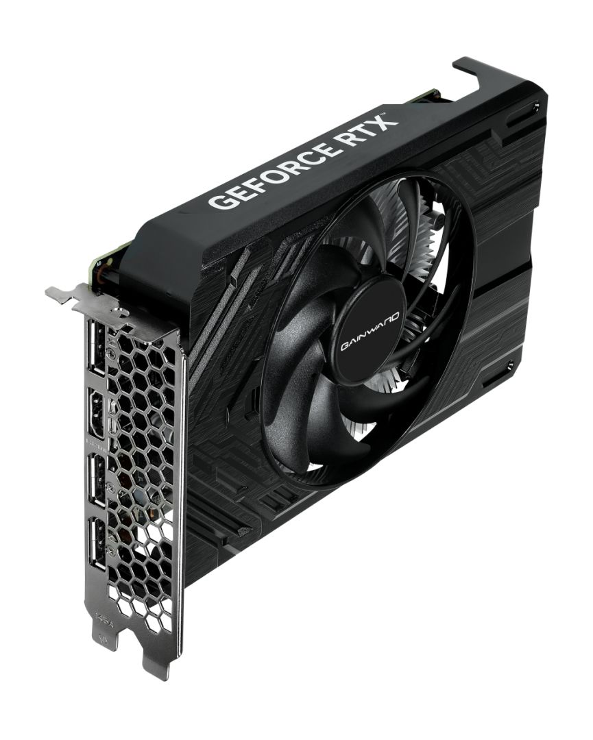 Gainward GeForce RTX 4060 8GB DDR6 Pegasus