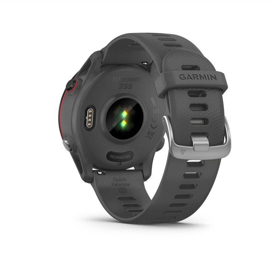 Garmin Forerunner 255 Grey