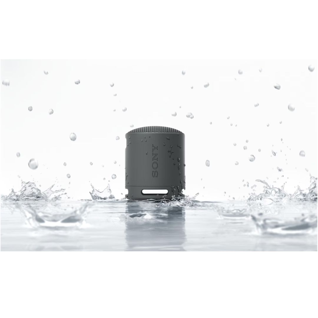 Sony SRSX-B100 Bluetooth Speaker Black