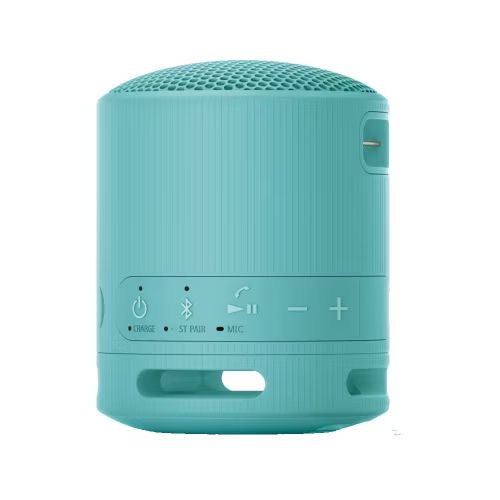 Sony SRSX-B100 Bluetooth Speaker Blue