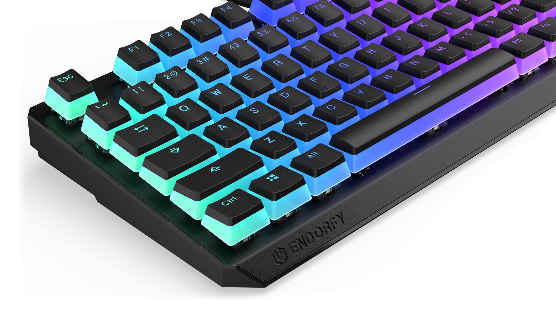 Endorfy Thock TKL Pudding Blue Switch Mechanical Keyboard Black US