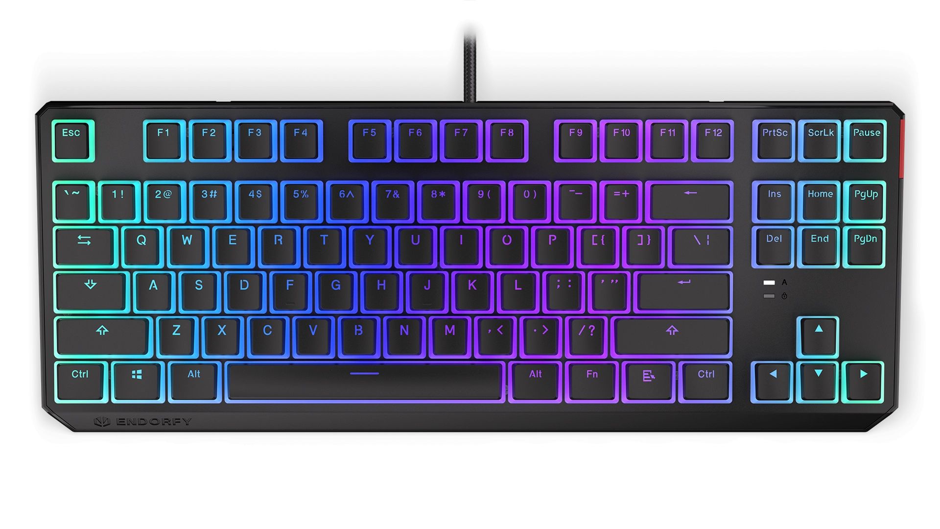 Endorfy Thock TKL Pudding Blue Switch Mechanical Keyboard Black US