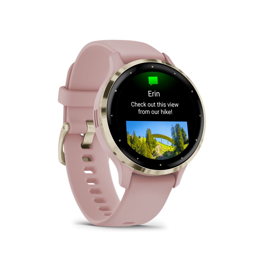 Garmin Venu 3S Soft Gold Stainless Steel Bezel with Dust Rose Case and Silicone Band