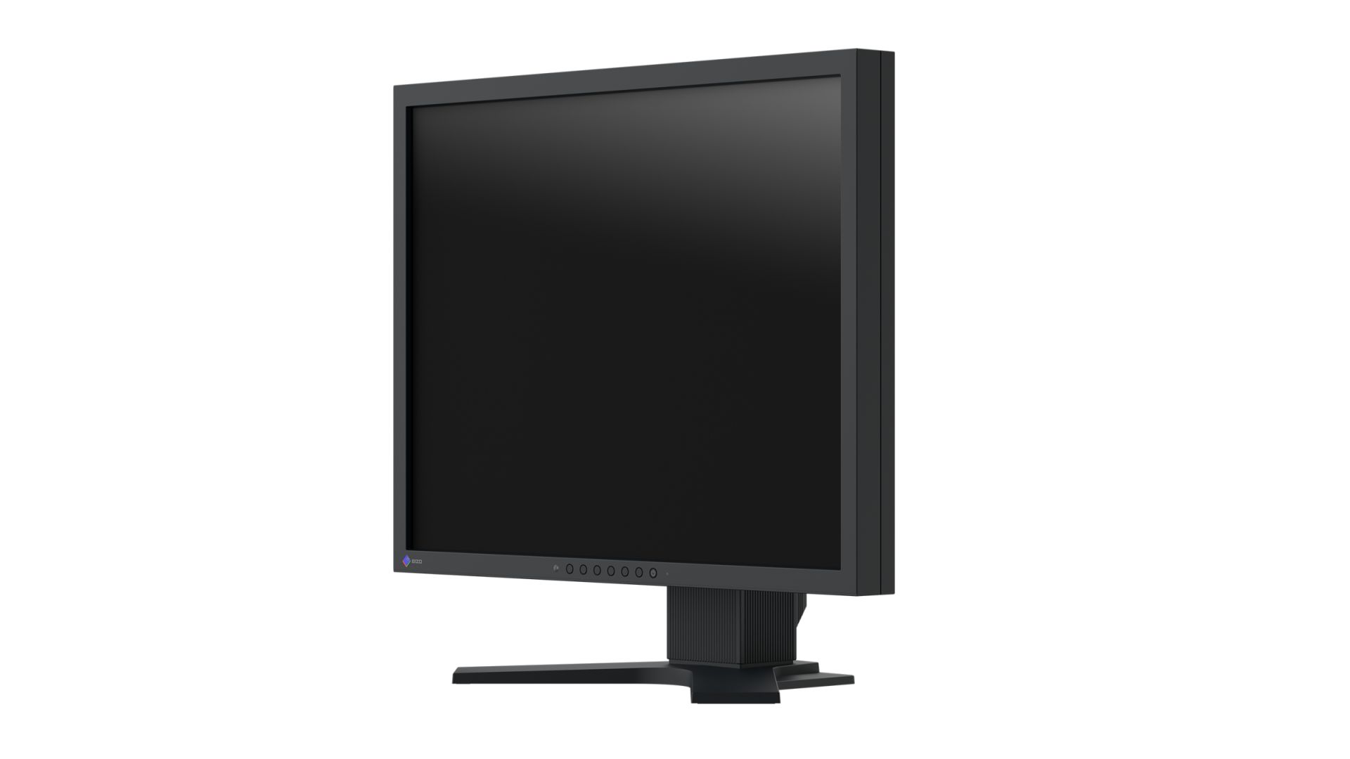 Eizo 21,3" FlexScan S2133 IPS LED