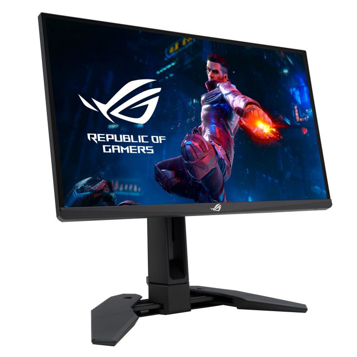 Asus 24,1" PG248QP LED