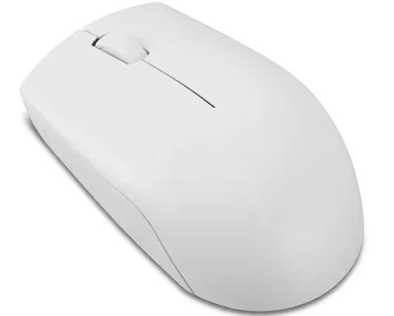 Lenovo 300 Wireless Compact mouse Cloud Grey