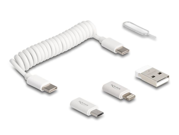 DeLock 5 in 1 USB Data and Charging Cable and Adapter Set PD 3.0 60W White