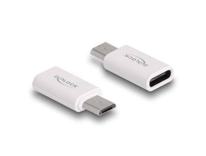 DeLock 5 in 1 USB Data and Charging Cable and Adapter Set PD 3.0 60W White